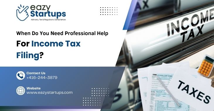 When Do You Need Professional Help For Income Tax Filing?