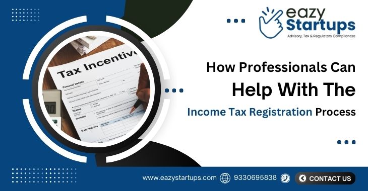 How Professionals Can Help With The Income Tax Registration Process